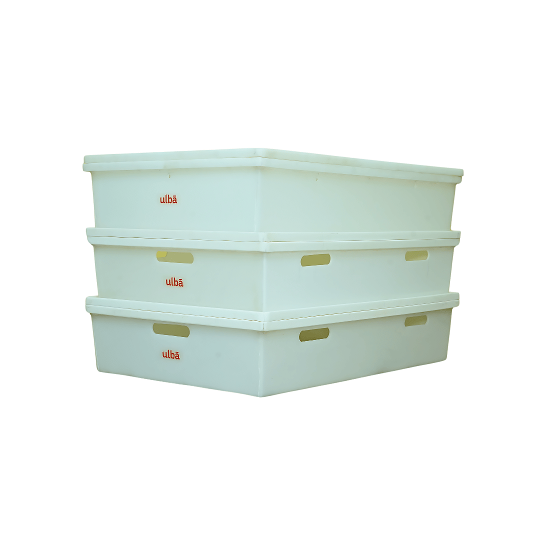 Mbrace PP Trays & Totes